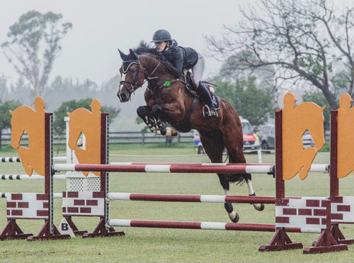 Picture - Australian Jumping 