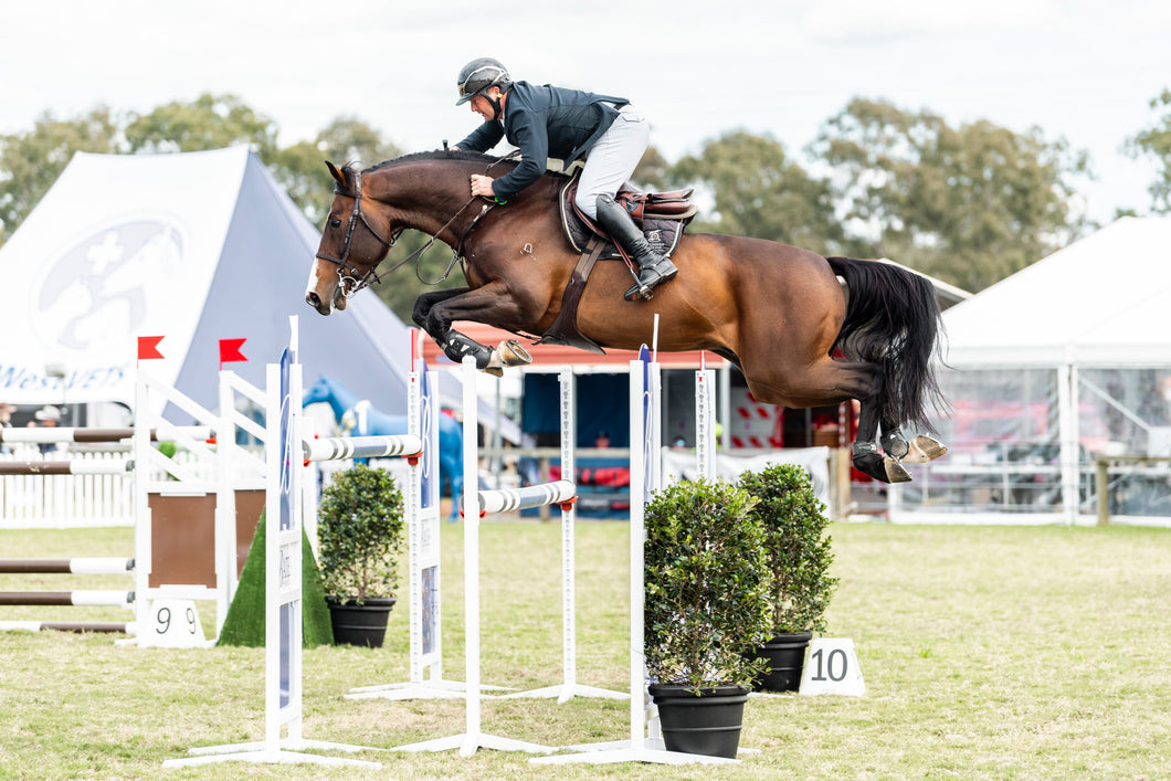 BELLHAVEN DIAMANT